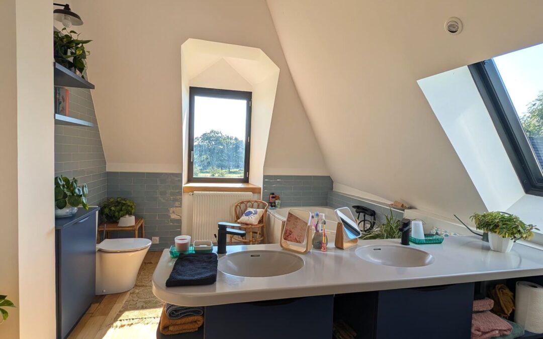 Rénovation de pièces d’eau et d’une entrée, Saint Hilaire Bonneval 2023